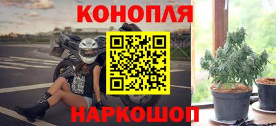 2c-b Кингисепп