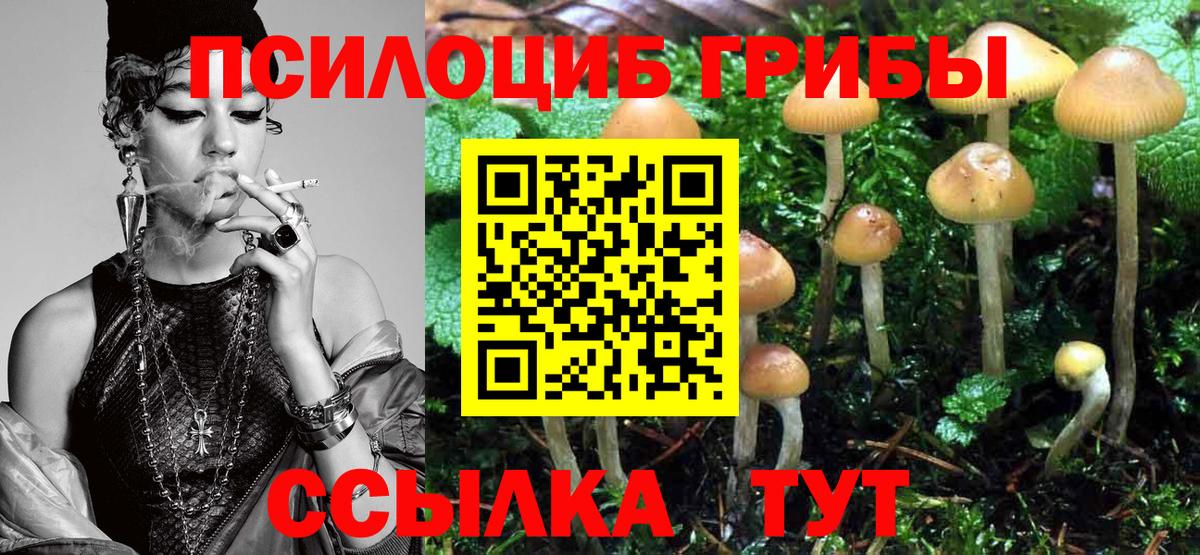 Псилоцибиновые грибы ЛСД Сунжа