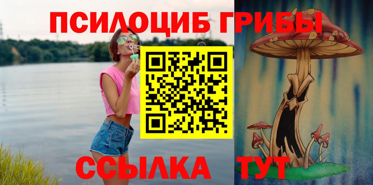 Сунжа  Псилоцибиновые грибы прущие грибы  наркотики  Вход с VPN 