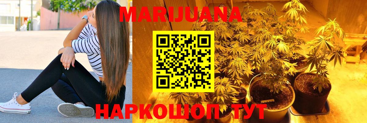 Каннабис план  Канабис тримм  Шишки марихуана сатива  Сунжа 